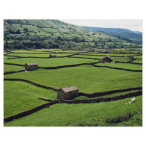 Typical barns and walls, Britain Europe Personalized Flyer