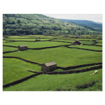 Typical barns and walls, Britain Europe flyers