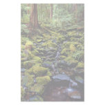 Typical rain forest scene near Sol Duc Hot Springs Customized Stationery