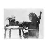 Typing Monkey Postcard