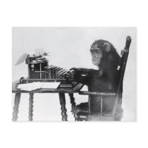 Typing Monkey Postcard