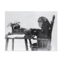 Typing Monkey postcards by ShovelTest Typing Monkey postcards