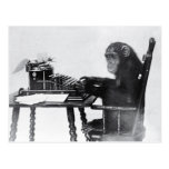 Typing Monkey Postcard