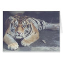 Tyra the Tiger Note Card by sweetchild Tyra the Tiger Note Card
