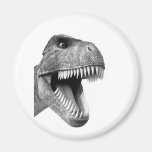 Tyrannosaurus Rex Fridge Magnet