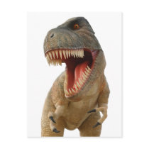 Tyrannosaurus Rex Postcard