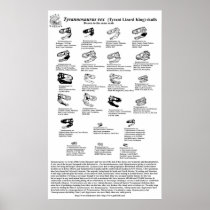 Tyrannosaurus rex poster
