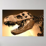 Tyrannosaurus Rex Poster posters