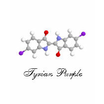 Tyrian purple t-shirts by Nushka Tyrian purple t-shirts