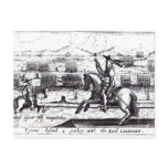 Tyrone Desired a Parley with Lord Lieutenant Postcard