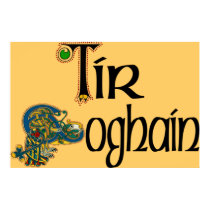 Tyrone (Gaelic) Poster Print by irishcountry Tyrone (Gaelic) Poster Print