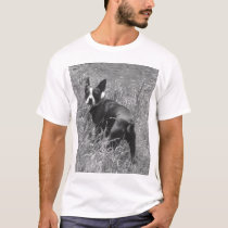 Tysen t-shirts