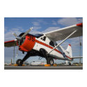 U6 Beaver posters by captainifr U6 Beaver posters