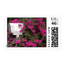 U got Mail! postage
