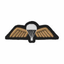U. K. Para Airborne Wings embroidered shirts