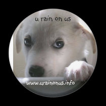 u rain on us magnets