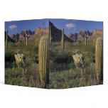 U.S.A., Arizona, Organ Pipe National Monument. 3 Ring Binders