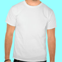 'U.S.A. Vintage Trailer Network' t-shirts