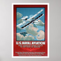 U.S. Naval Aviation (US02304) Print