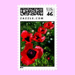 U.S. Postage stamps