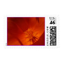 U.S. Postage Stamp - California Poppy