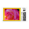 U.S. Postage Stamp - Pink Rose