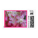 U.S. Postage Stamp - Pink Wild Flowers