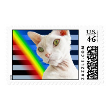 U.S Stamp | White Devon Rex Cat Rainbow Stripes