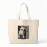 UAA Spay Neuter Clinics bags