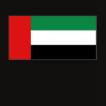 United Arab Emirates Flag Map Spaghetti Top