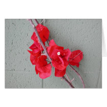 Ubiquitous Bougainvillea cards by cahyman Ubiquitous Bougainvillea cards