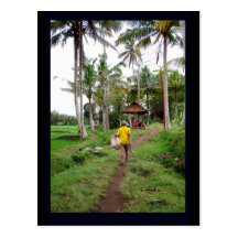 Ubud Bali Post Card