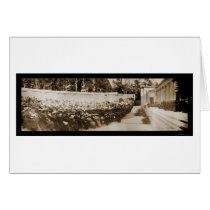 UC Berkeley Gradution Photo 1906 cards by lc_panoramicphotos UC Berkeley Gradution Photo 1906 cards