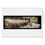UC Berkeley Gradution Photo 1906 cards