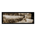 UC Berkeley Gradution Photo 1906 posters