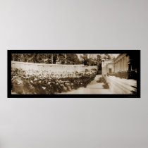 UC Berkeley Gradution Photo 1906 Posters