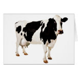 Udder Nonsense cards