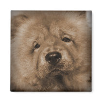 Udon,My Baby magnets by Heartworks Udon,My Baby magnets