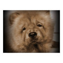 Udon,My Baby posters by Heartworks Udon,My Baby posters