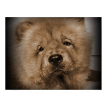 Udon,My Baby posters by Heartworks Udon,My Baby posters