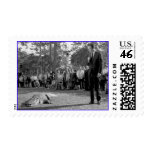 UF Digital Collection - UF Archives Photos Postage Stamp