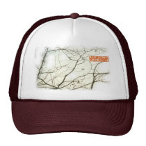 UFO in Tree hats
