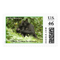 Ugandan Gorillas postage