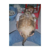 Gato gordo feio cartões postais by HazaTheExiler Gato gordo feio cartões postais