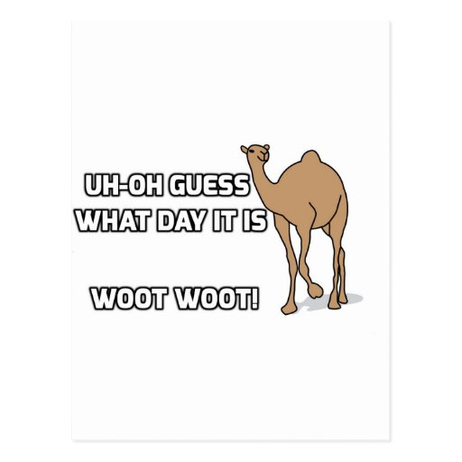 Uh Oh Guess What Day It Is Hump Day Postcard Zazzle 0685