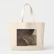 Uinta Groud Squirrel Bags