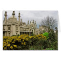(UK) Brighton Pavilion cards by webgrrl (UK) Brighton Pavilion cards