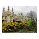 (UK) Brighton Pavillion POSTER posters by webgrrl (UK) Brighton Pavillion POSTER posters