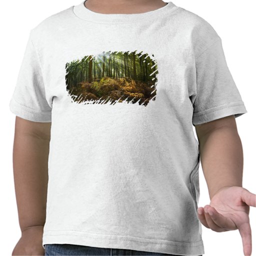 UK, England. Rays of sunlight streaming through T Shirts