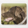 UK, England, Suffolk, Thetford Forest, Profile Mouse Pads